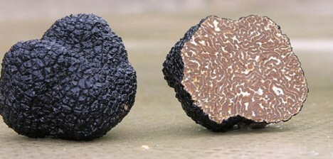 Il Cantinone Perugia cucina tipica e pizza specialità tartufo